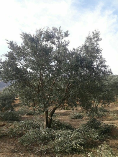 photo 2019 02 03 15 33 31