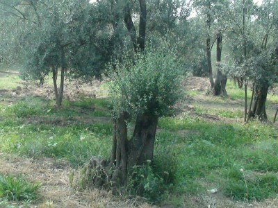 photo 2019 02 03 15 33 41