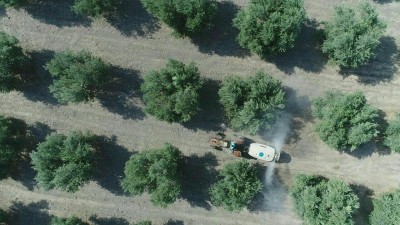 photo 2019 02 03 15 33 46