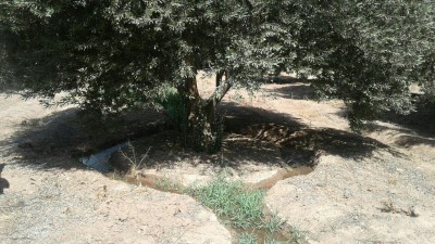 photo 2019 02 03 15 33 53