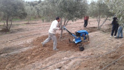 photo 2019 02 03 15 34 00